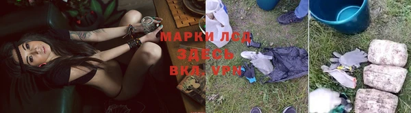 СК Заводоуковск