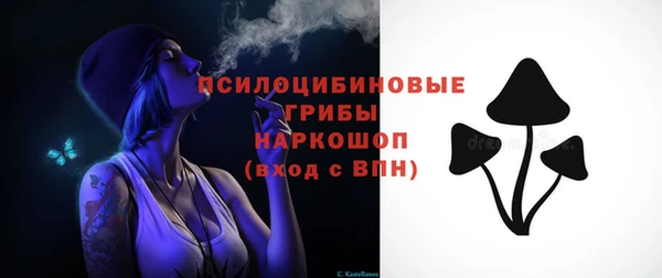 твердый Заволжск