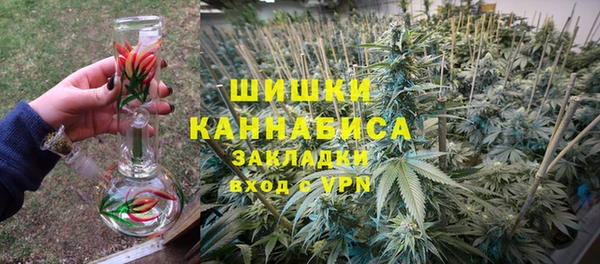 СК Заводоуковск